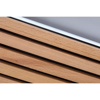 Rabalux - LED griestu gaismeklis LED/26W/230V 3000/4500/6000K