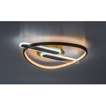 Rabalux - LED regulējams griestu gaismeklis LED/60W/230V 3000-6000K 53x45 cm + tālvadība