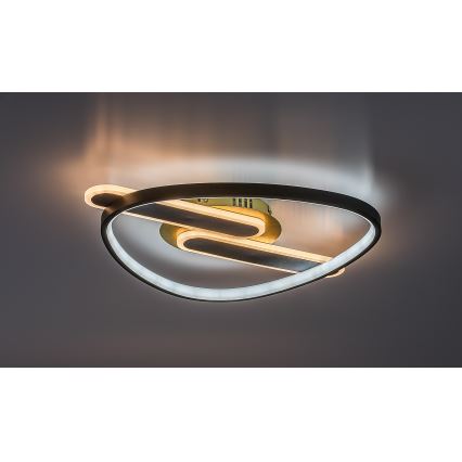 Rabalux - LED regulējams griestu gaismeklis LED/60W/230V 3000-6000K 53x45 cm + tālvadība
