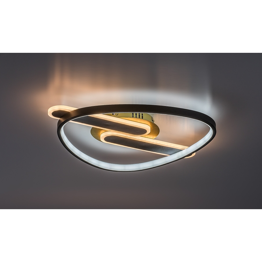 Rabalux - LED regulējams griestu gaismeklis LED/60W/230V 3000-6000K 53x45 cm + tālvadība