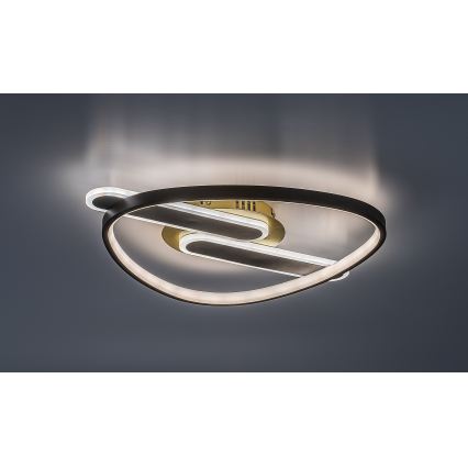 Rabalux - LED regulējams griestu gaismeklis LED/60W/230V 3000-6000K 53x45 cm + tālvadība