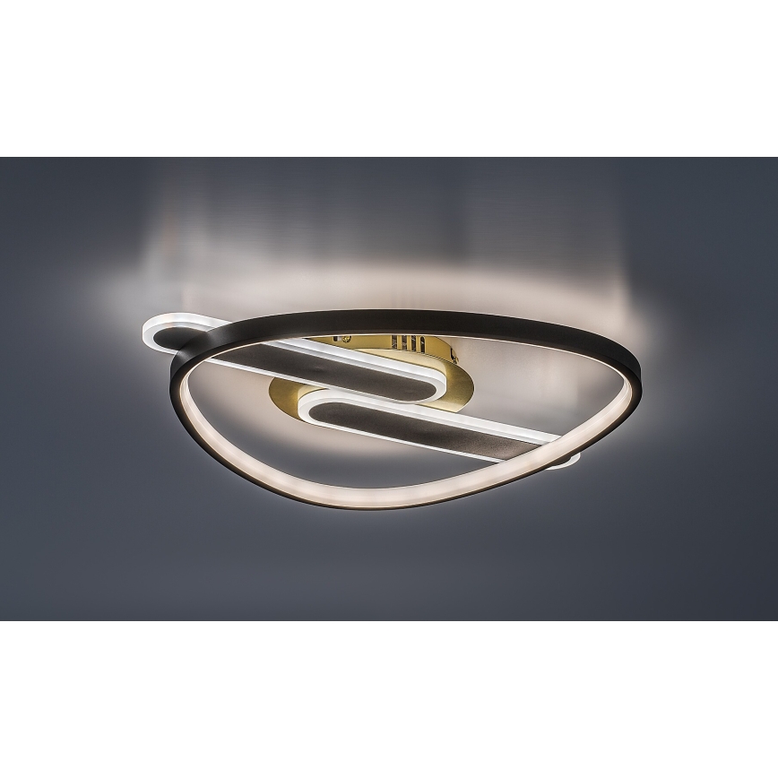 Rabalux - LED regulējams griestu gaismeklis LED/60W/230V 3000-6000K 53x45 cm + tālvadība