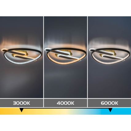 Rabalux - LED regulējams griestu gaismeklis LED/60W/230V 3000-6000K 53x45 cm + tālvadība