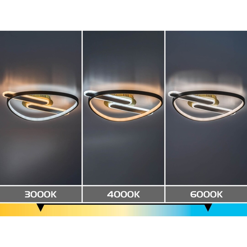 Rabalux - LED regulējams griestu gaismeklis LED/60W/230V 3000-6000K 53x45 cm + tālvadība