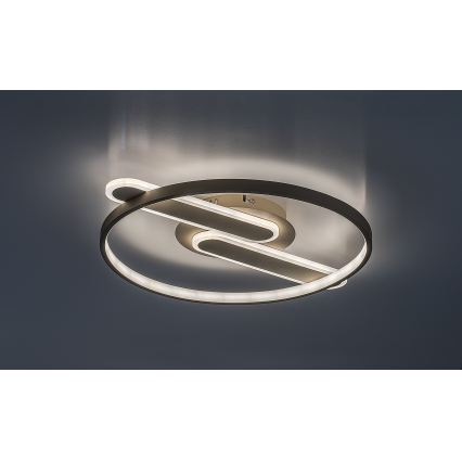 Rabalux - LED regulējama griestu lampa LED/55W/230V 3000-6000K 53x45 cm + tālvadība