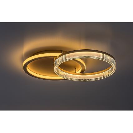 Rabalux - LED regulējama griestu lampa LED/22W/230V 3000-6500K 53,5x35 cm + tālvadība