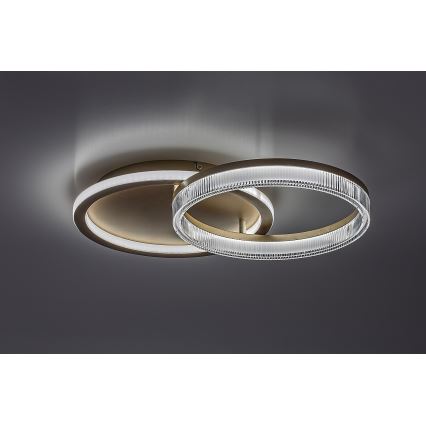 Rabalux - LED regulējama griestu lampa LED/22W/230V 3000-6500K 53,5x35 cm + tālvadība