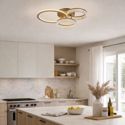 Rabalux - regulējama LED griestu lampa LED/38W/230V 3000-6500K 58,5x38 cm + tālvadības pults
