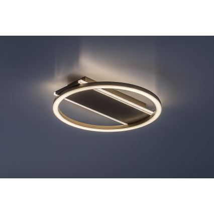 Rabalux - LED griestu gaismeklis LED/24W/230V Ø 33 cm
