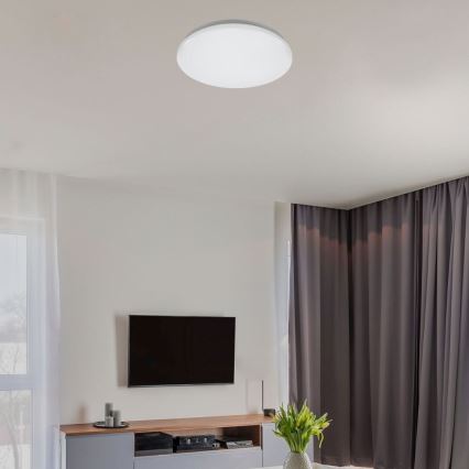 Rabalux - LED griestu gaismeklis LED/12W/230V 4000K Ø 25,5 cm
