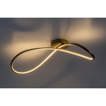 Rabalux - LED Griestu lampa LED/30W/230V 3000K