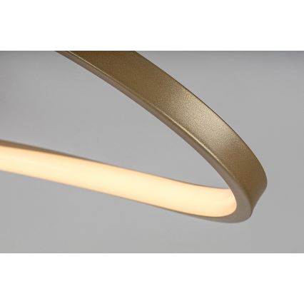 Rabalux - LED Griestu lampa LED/30W/230V 3000K
