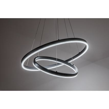 Rabalux - LED lustra ar regulējamu spilgtumu uz kabeļa LED/80W/230V 3000-6500K + tālvadības pults