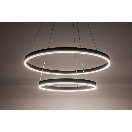 Rabalux - LED lustra ar regulējamu spilgtumu uz kabeļa LED/80W/230V 3000-6500K + tālvadības pults