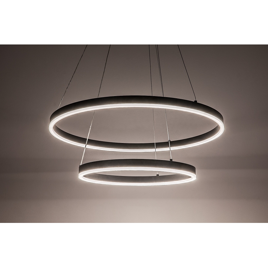 Rabalux - LED lustra ar regulējamu spilgtumu uz kabeļa LED/80W/230V 3000-6500K + tālvadības pults