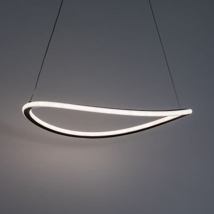 Rabalux - regulējama LED lustra uz troses LED/45W/230V 3000-6500K + tālvadības pults