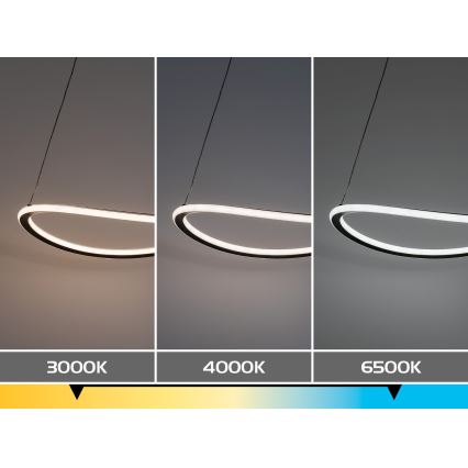 Rabalux - regulējama LED lustra uz troses LED/45W/230V 3000-6500K + tālvadības pults