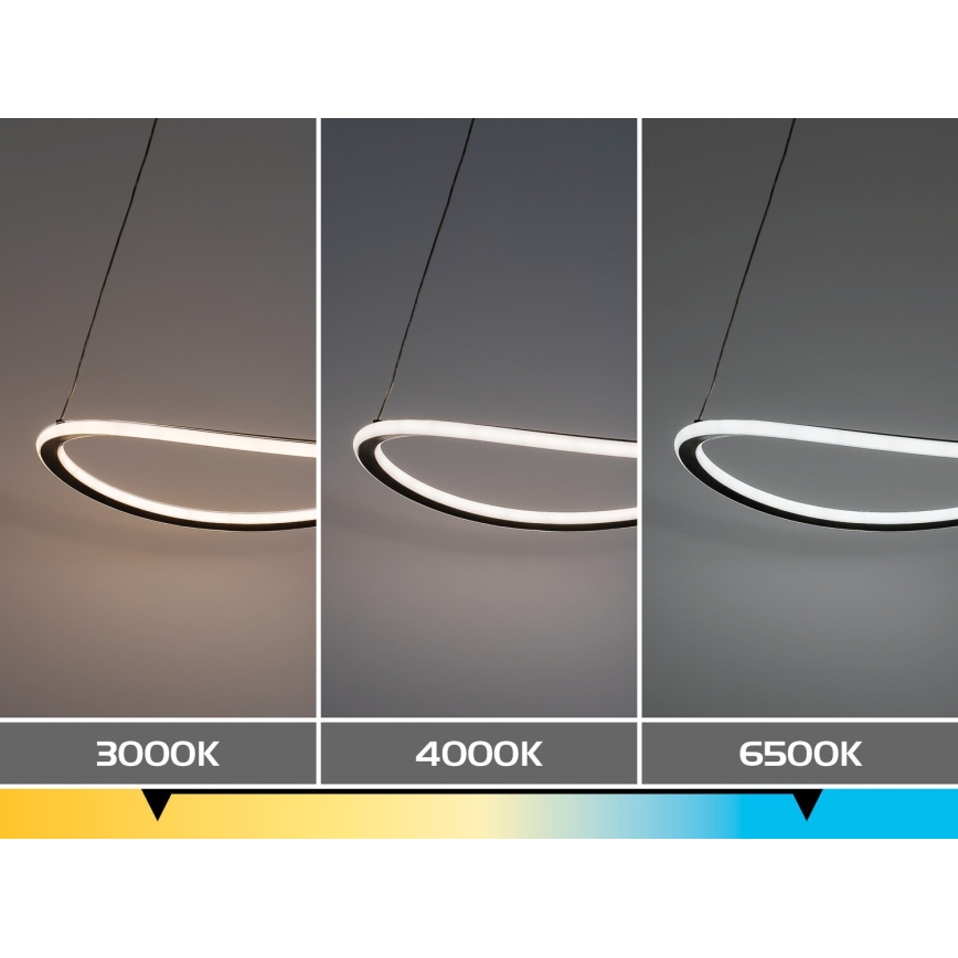 Rabalux - regulējama LED lustra uz troses LED/45W/230V 3000-6500K + tālvadības pults