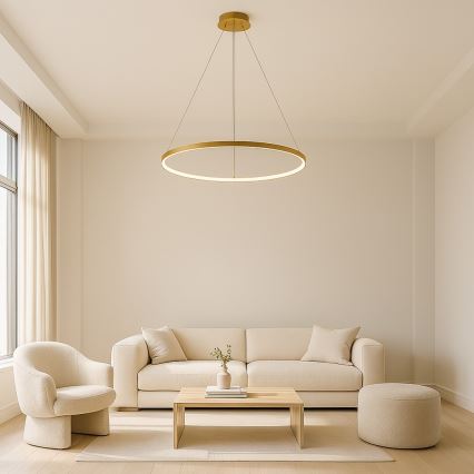 Rabalux - LED lustra uz troses LED/55W/230V 3000K