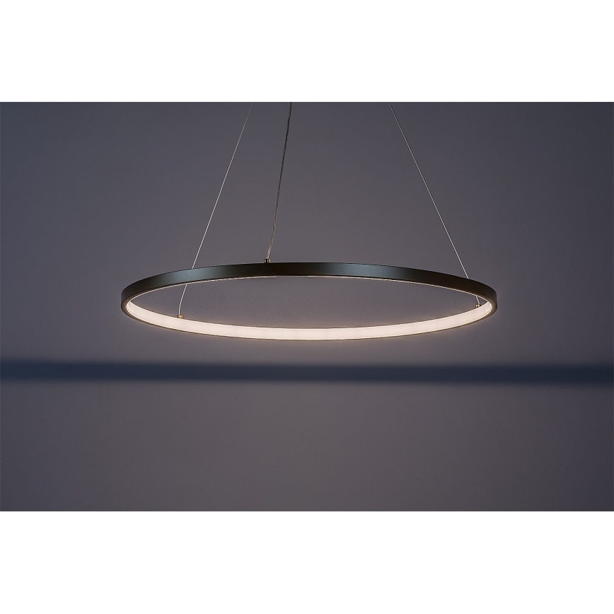 Rabalux - LED lustra uz troses LED/55W/230V 3000K