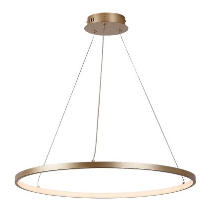 Rabalux - LED lustra uz troses LED/55W/230V 3000K