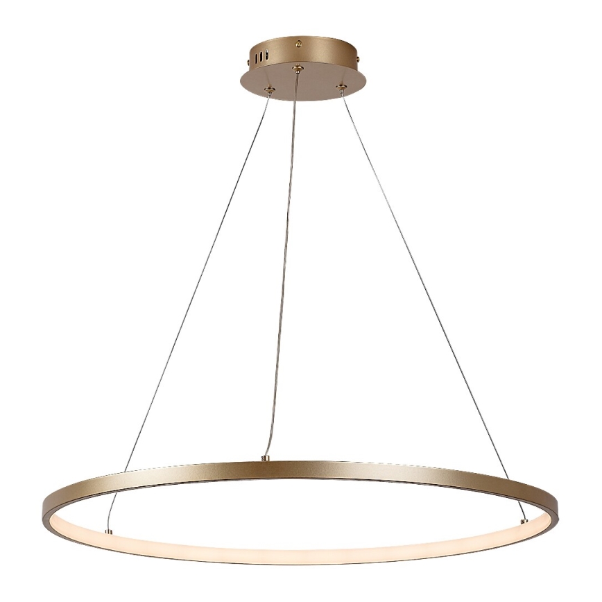 Rabalux - LED lustra uz troses LED/55W/230V 3000K