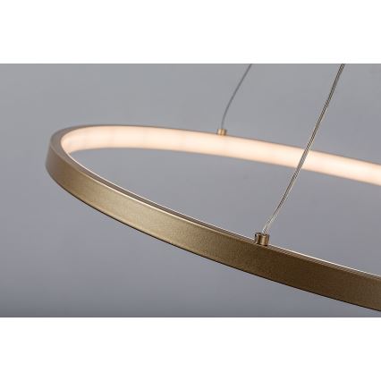 Rabalux - LED lustra uz troses LED/55W/230V 3000K