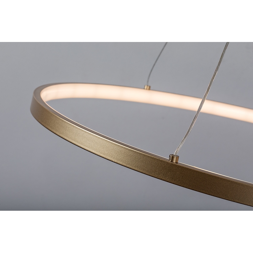 Rabalux - LED lustra uz troses LED/55W/230V 3000K