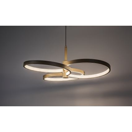 Rabalux - LED aptumšojama lustra uz troses LED/50W/230V 3000-6500K + tālvadības pults