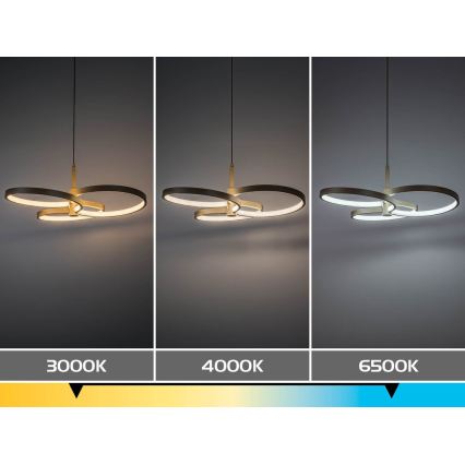 Rabalux - LED aptumšojama lustra uz troses LED/50W/230V 3000-6500K + tālvadības pults