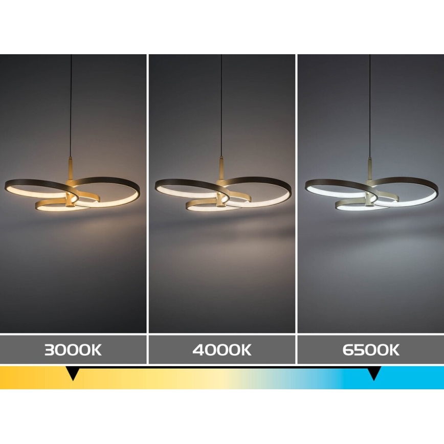 Rabalux - LED aptumšojama lustra uz troses LED/50W/230V 3000-6500K + tālvadības pults