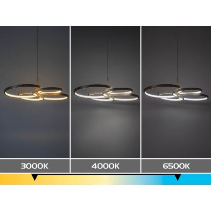 Rabalux - LED aptumšojama pakaramā lustra uz troses LED/70W/230V 3000-6500K + ar tālvadības pulti