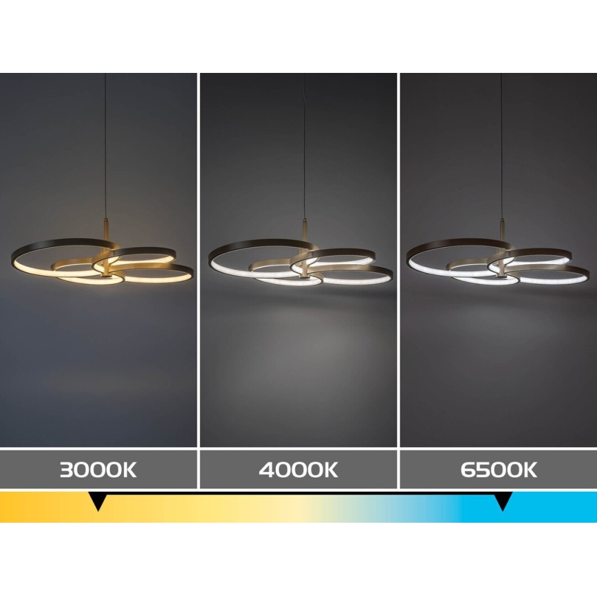 Rabalux - LED aptumšojama pakaramā lustra uz troses LED/70W/230V 3000-6500K + ar tālvadības pulti