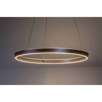 Rabalux - regulējama LED lustra uz troses LED/70W/230V 3000-6500K + tālvadība