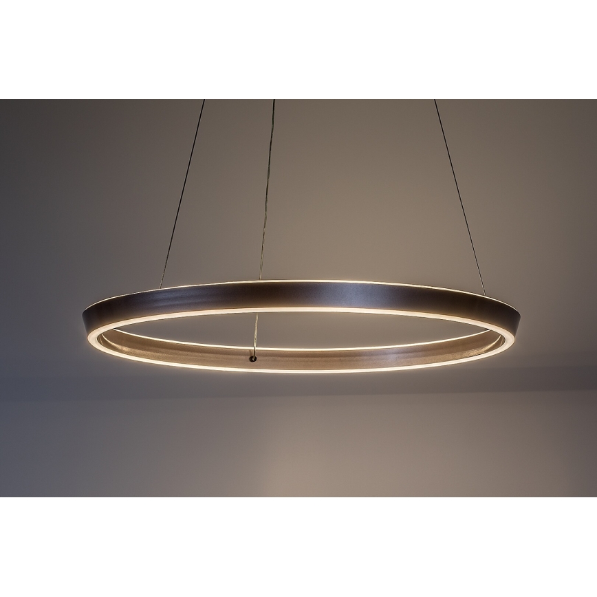 Rabalux - regulējama LED lustra uz troses LED/70W/230V 3000-6500K + tālvadība