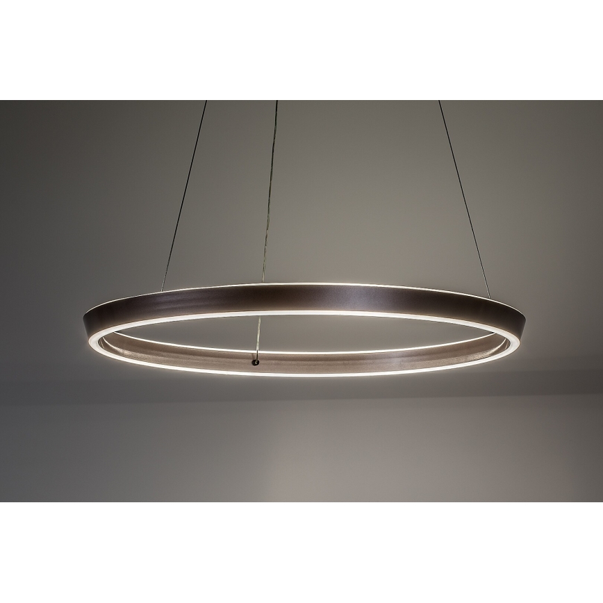 Rabalux - regulējama LED lustra uz troses LED/70W/230V 3000-6500K + tālvadība