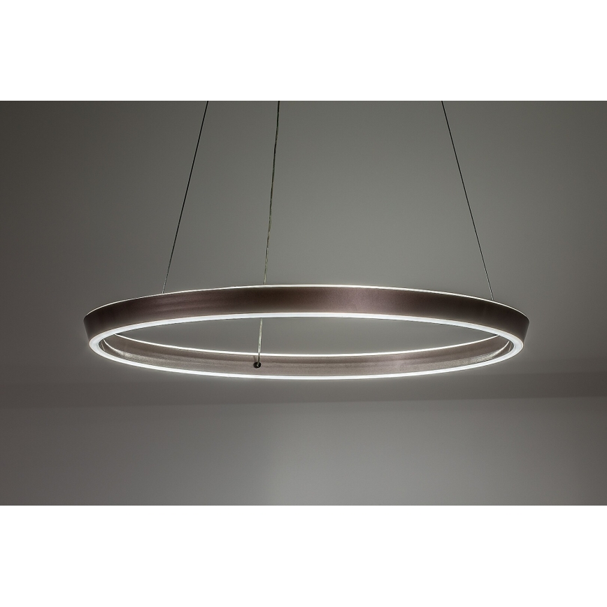 Rabalux - regulējama LED lustra uz troses LED/70W/230V 3000-6500K + tālvadība