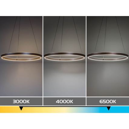 Rabalux - regulējama LED lustra uz troses LED/70W/230V 3000-6500K + tālvadība