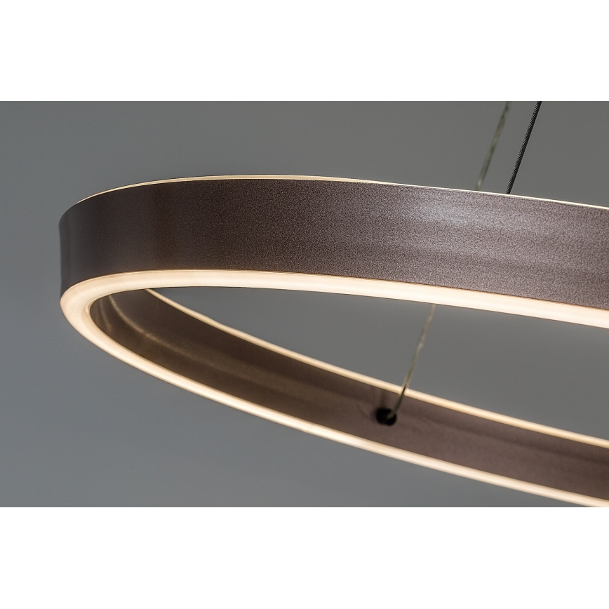 Rabalux - regulējama LED lustra uz troses LED/70W/230V 3000-6500K + tālvadība