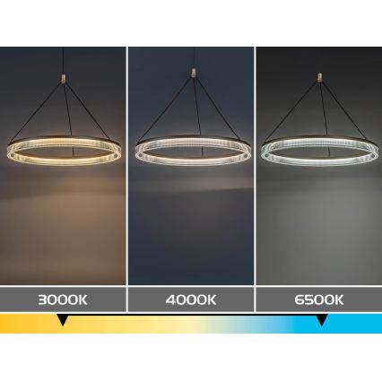 Rabalux - LED regulējamā lustra uz troses LED/24W/230V 3000-6500K + tālvadība