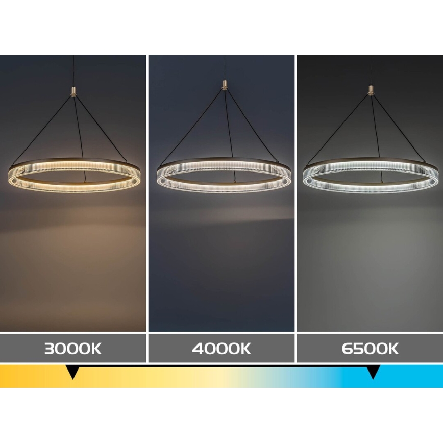 Rabalux - LED regulējamā lustra uz troses LED/24W/230V 3000-6500K + tālvadība