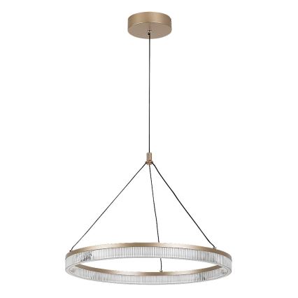 Rabalux - LED regulējamā lustra uz troses LED/24W/230V 3000-6500K + tālvadība
