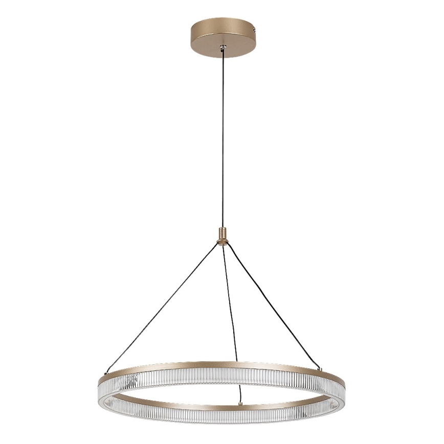 Rabalux - LED regulējamā lustra uz troses LED/24W/230V 3000-6500K + tālvadība