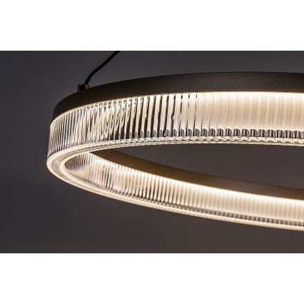 Rabalux - LED regulējamā lustra uz troses LED/24W/230V 3000-6500K + tālvadība
