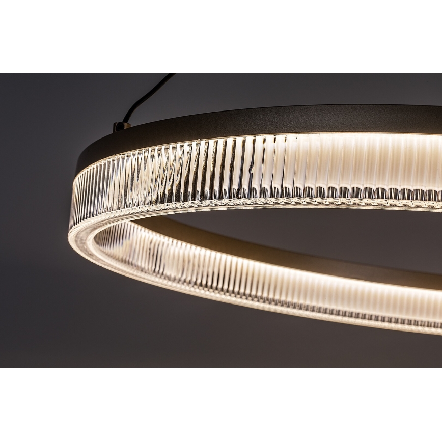 Rabalux - LED regulējamā lustra uz troses LED/24W/230V 3000-6500K + tālvadība