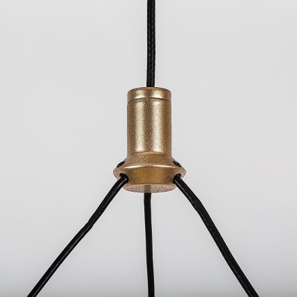 Rabalux - LED regulējamā lustra uz troses LED/24W/230V 3000-6500K + tālvadība