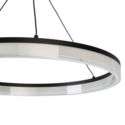 Rabalux - LED lustra uz kabeļa ar regulējamu spilgtumu LED/24W/230V 3000-6500K + ar tālvadības pulti