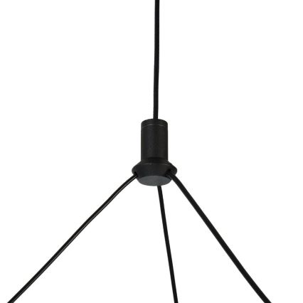 Rabalux - LED lustra uz kabeļa ar regulējamu spilgtumu LED/24W/230V 3000-6500K + ar tālvadības pulti