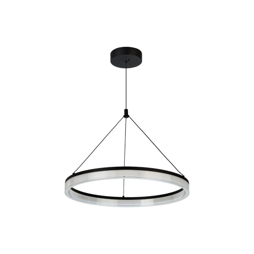 Rabalux - LED lustra uz kabeļa ar regulējamu spilgtumu LED/24W/230V 3000-6500K + ar tālvadības pulti