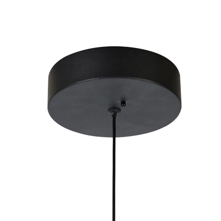 Rabalux - LED lustra uz kabeļa ar regulējamu spilgtumu LED/24W/230V 3000-6500K + ar tālvadības pulti